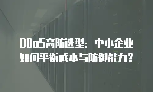 DDoS高防选型：中小企业如何平衡成本与防御能力？