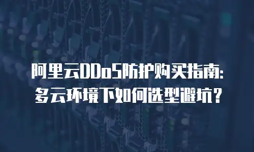 阿里云DDoS防护购买指南：多云环境下如何选型避坑？