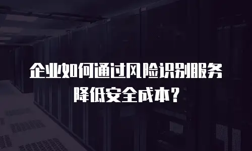 企业如何通过风险识别服务降低安全成本？