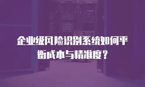 企业级风险识别系统如何平衡成本与精准度？