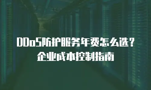DDoS防护服务年费怎么选？企业成本控制指南