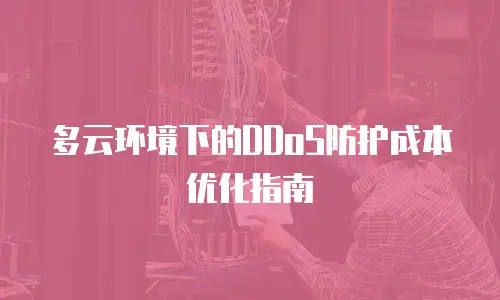 多云环境下的DDoS防护成本优化指南