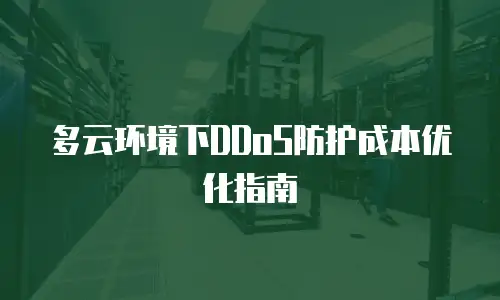 多云环境下DDoS防护成本优化指南