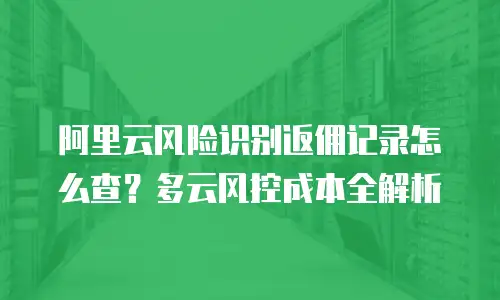 阿里云风险识别返佣记录怎么查？多云风控成本全解析