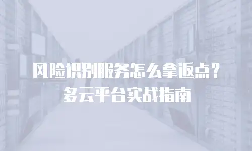 风险识别服务怎么拿返点？多云平台实战指南