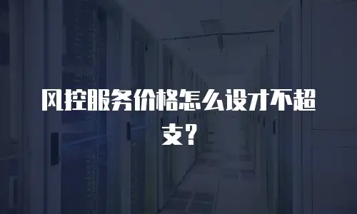 风控服务价格怎么设才不超支？