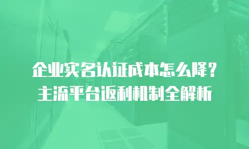 企业实名认证成本怎么降？主流平台返利机制全解析