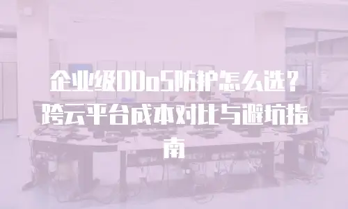企业级DDoS防护怎么选？跨云平台成本对比与避坑指南