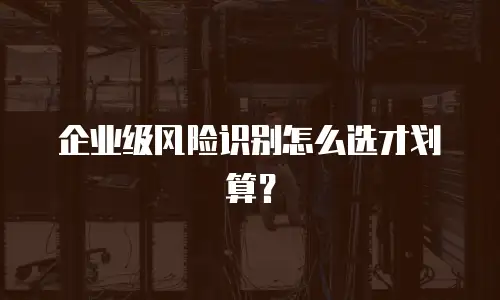 企业级风险识别怎么选才划算？