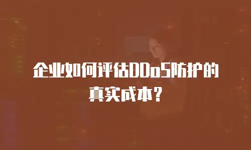 企业如何评估DDoS防护的真实成本？