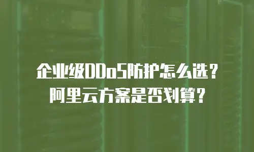 企业级DDoS防护怎么选？阿里云方案是否划算？