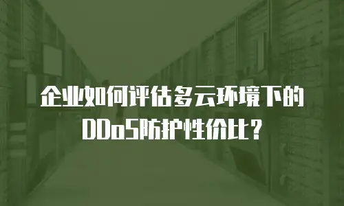 企业如何评估多云环境下的DDoS防护性价比？