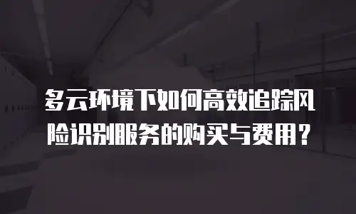 多云环境下如何高效追踪风险识别服务的购买与费用？