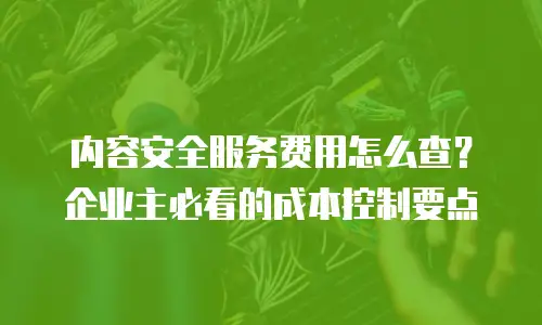 内容安全服务费用怎么查？企业主必看的成本控制要点