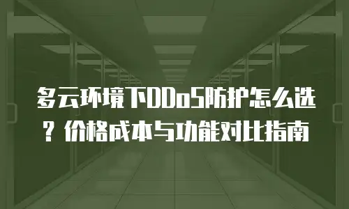 多云环境下DDoS防护怎么选？价格成本与功能对比指南