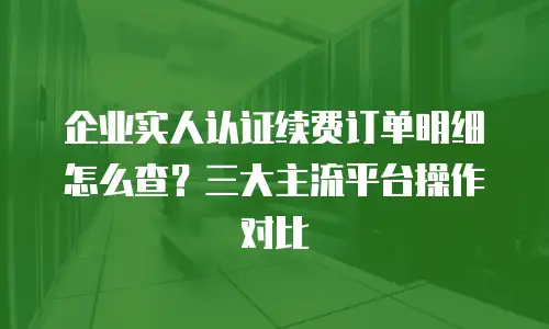 企业实人认证续费订单明细怎么查？三大主流平台操作对比