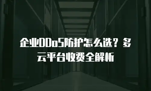 企业DDoS防护怎么选？多云平台收费全解析