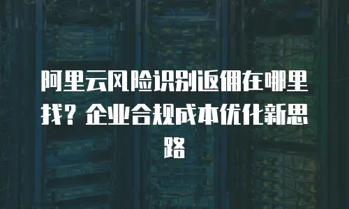 阿里云风险识别返佣在哪里找？企业合规成本优化新思路