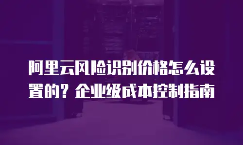阿里云风险识别价格怎么设置的？企业级成本控制指南