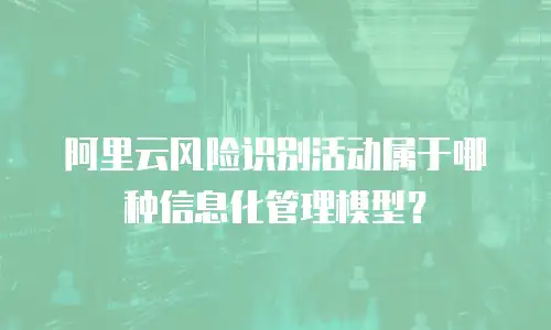 阿里云风险识别活动属于哪种信息化管理模型？