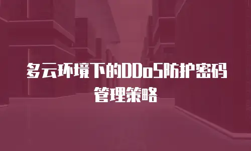 多云环境下的DDoS防护密码管理策略