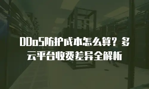 DDoS防护成本怎么算？多云平台收费差异全解析