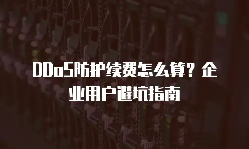 DDoS防护续费怎么算？企业用户避坑指南