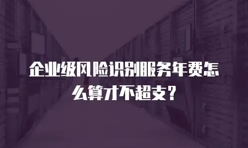 企业级风险识别服务年费怎么算才不超支？