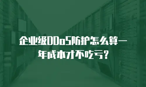 企业级DDoS防护怎么算一年成本才不吃亏？