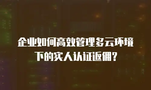 企业如何高效管理多云环境下的实人认证返佣？