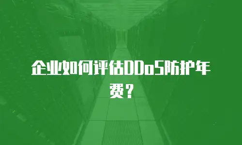 企业如何评估DDoS防护年费？