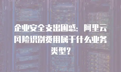 企业安全支出困惑：阿里云风险识别费用属于什么业务类型？