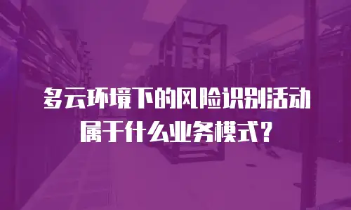 多云环境下的风险识别活动属于什么业务模式？