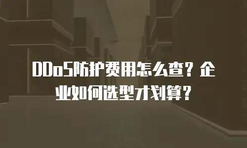 DDoS防护费用怎么查？企业如何选型才划算？