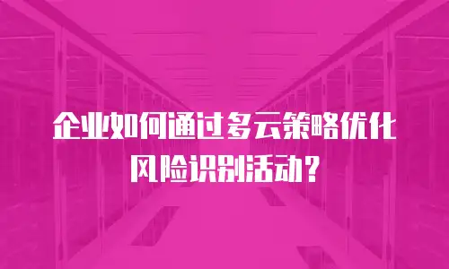 企业如何通过多云策略优化风险识别活动？