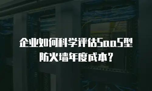 企业如何科学评估SaaS型防火墙年度成本？