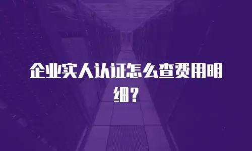 企业实人认证怎么查费用明细？