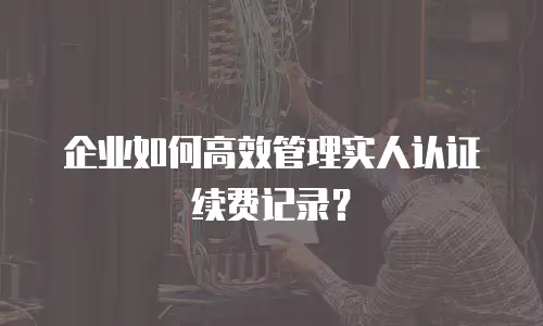企业如何高效管理实人认证续费记录？