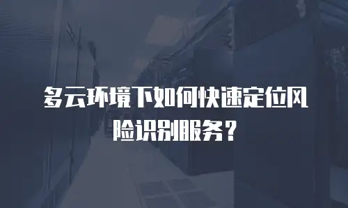 多云环境下如何快速定位风险识别服务？