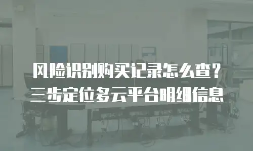 风险识别购买记录怎么查？三步定位多云平台明细信息