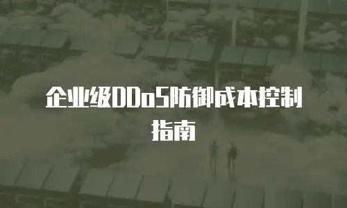 企业级DDoS防御成本控制指南