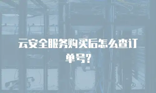 云安全服务购买后怎么查订单号？