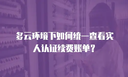 多云环境下如何统一查看实人认证续费账单？