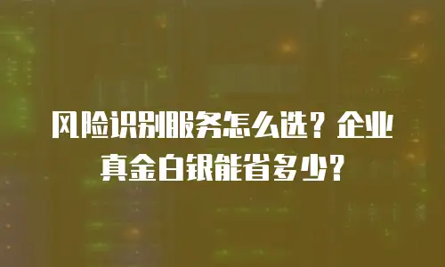 风险识别服务怎么选？企业真金白银能省多少？