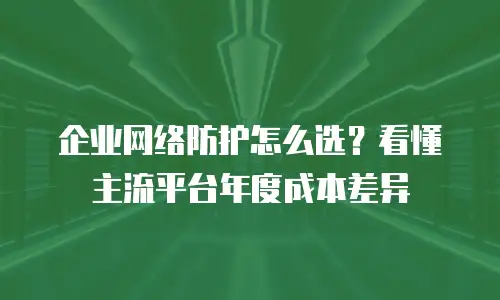 企业网络防护怎么选？看懂主流平台年度成本差异