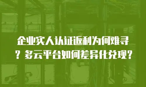 企业实人认证返利为何难寻？多云平台如何差异化兑现？