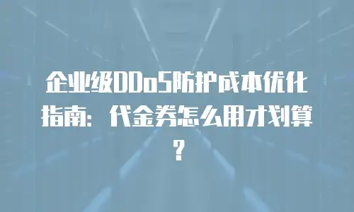 企业级DDoS防护成本优化指南：代金券怎么用才划算？