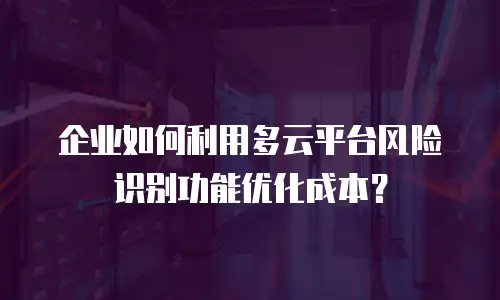 企业如何利用多云平台风险识别功能优化成本？