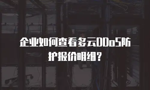 企业如何查看多云DDoS防护报价明细？