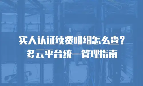 实人认证续费明细怎么查？多云平台统一管理指南